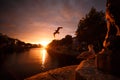 Seagull beside the river during a sunset in Dublin Royalty Free Stock Photo