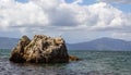 Seagull on the rocks in the Adriatic Sea Royalty Free Stock Photo