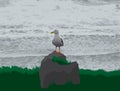 Seagull On The Rocks