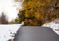 A seagull running away Royalty Free Stock Photo