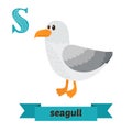 Seagull. S letter. Cute children animal alphabet in vector. Funny cartoon animals Royalty Free Stock Photo
