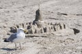 Seagull and sand castle Royalty Free Stock Photo