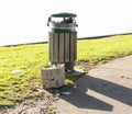 Seagull scavenging rubbish from overflowing trash bin Royalty Free Stock Photo