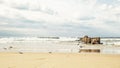 Seagull on the sea beach against the background of an old breakwater of logs and stones in a wavy sea and a dramatic sky