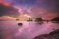 Seagull, seastacks and colorful clouds