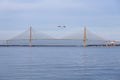 A seagull seen in the air between the two sections of the 2005 cable-stayed Arthur Ravenel Jr. Bridge over the Cooper River