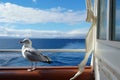 a seagull seen from the ships deck with the sea in the background