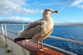 a seagull seen from the ships deck with the sea in the background