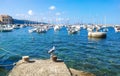 Seagull on shore in idyllic coastal town. Boats moored, bay, summer. Royalty Free Stock Photo