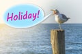 The seagull shouts `holiday` on a wooden column on the seashore