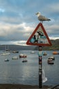 Seagull On Signpost In The Harbor Of Portree On The Isle Of Skye In Scotland Royalty Free Stock Photo