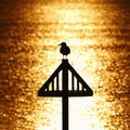 Seagull silhouette against golden sunset Royalty Free Stock Photo