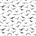 Seagull silhouette pattern background Royalty Free Stock Photo