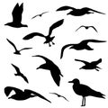 Seagull silhouette set isolated on white background vector Royalty Free Stock Photo
