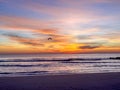 seagull silhouetted against the bright sunrise clouds over the Atlantic Ocean