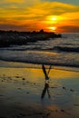 A Seagull Silhouetted on the Shore of Redondo Beach at Sunset, Los Angeles County, California
