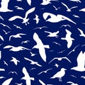 Seagull silhouettes seamless pattern vector background