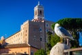 Seagull siting at the Roman Forum in Rome, Italy