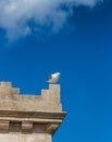 A seagull sits on the edge of the tower against the sky in Barcelona, Spain