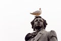 Seagull sits on the head of the monument to Alexander Pushkin on the square in front of the Russian Museum in St. Petersburg,