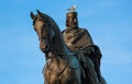 Seagull sits on the head of the statue Giuseppe Garibaldi in Rome