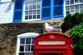 A seagull sits on the red telephone booth. Seaside colorful scene. White, red, blue colors.