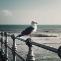 Seagull sits of a seafront fencing