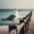 Seagull sits of a seafront fencing