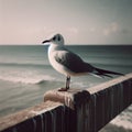 Seagull sits of a seafront fencing