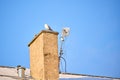 Seagull sitting on a chimney Royalty Free Stock Photo