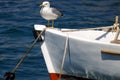The seagull sitting on a nose of a fishing boat