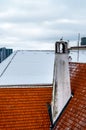 Seagull sitting on old chimney at red roof Royalty Free Stock Photo