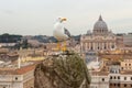 Seagull sitting on a old pillar against vatican view