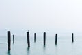 A seagull is sitting on one of the wooden bitts on Lake Garda