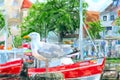 Seagull sitting on pier. Illustration of Warnemunde harbor at Baltic sea in Germany