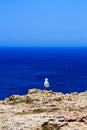 A seagull is sitting on a rock in front of the blue sea Royalty Free Stock Photo
