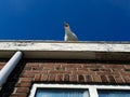 Seagull sitting on rooftop under a blue sky