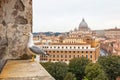 Seagull sitting on a stone window-sill against vatican view