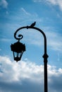 Seagull sitting on the streetlight