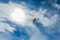 Mouette ciel nuages et soleil 