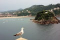 A seagull and a small island in one shot Royalty Free Stock Photo