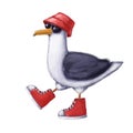 Seagull in sneakers and panama, watercolor illustration, summer clipart with cartoon character