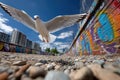 Seagull soaring over a graffiti covered wall Royalty Free Stock Photo