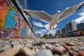 Seagull soaring over a graffiti covered wall Royalty Free Stock Photo