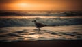 Seagull soaring over tranquil waters at sunset, a beautiful sight generated by AI Royalty Free Stock Photo