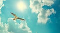 A seagull, soaring in the sky, seagull in flight on blue sky background