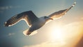 Seagull soaring in the sunset, spreading wings in freedom generated by AI