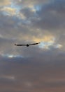 Seagull soaring thru the early morning ocean clouds Royalty Free Stock Photo