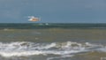 Seagull soars over the sea