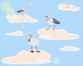 Seagull ssitting, artoon atlantic seabird